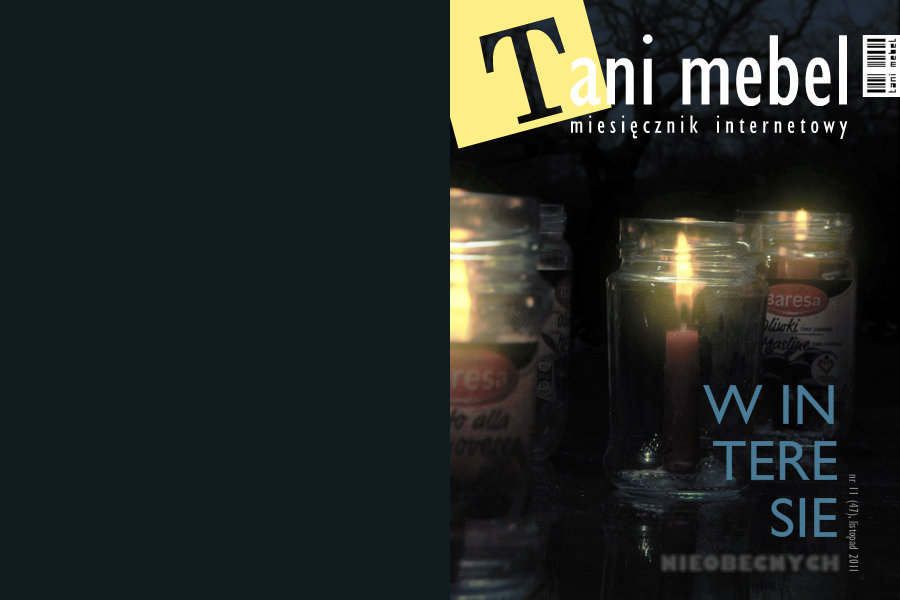 W interesie nieobecnych„Tani Mebel” nr 11 (47), listopad 2011